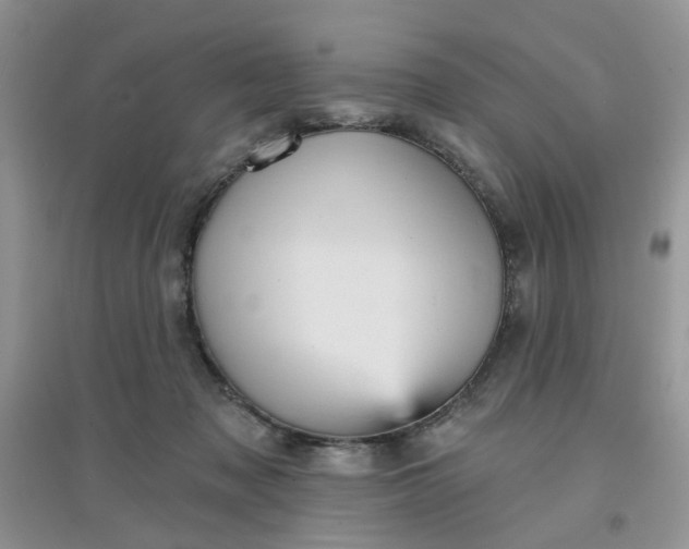 X0000097630317200803142030