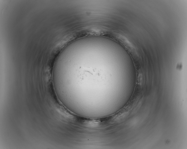 X0000097630318200803142030