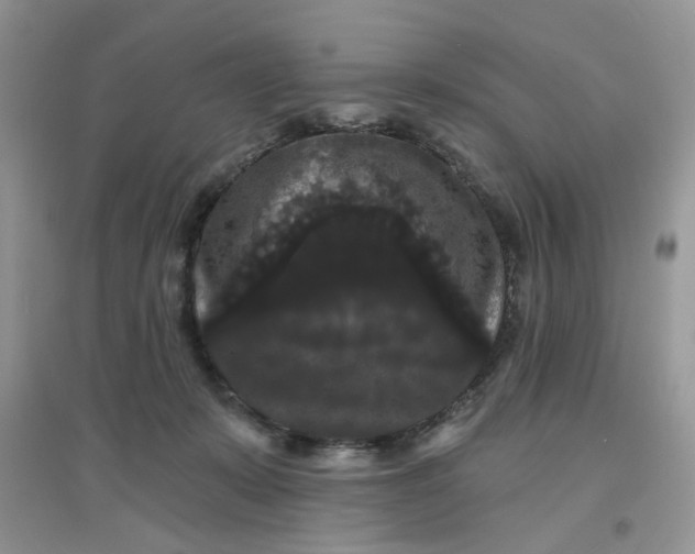 X0000097630319200803142030