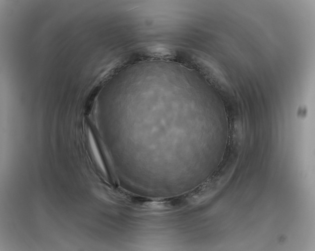 X0000097630320200803142030