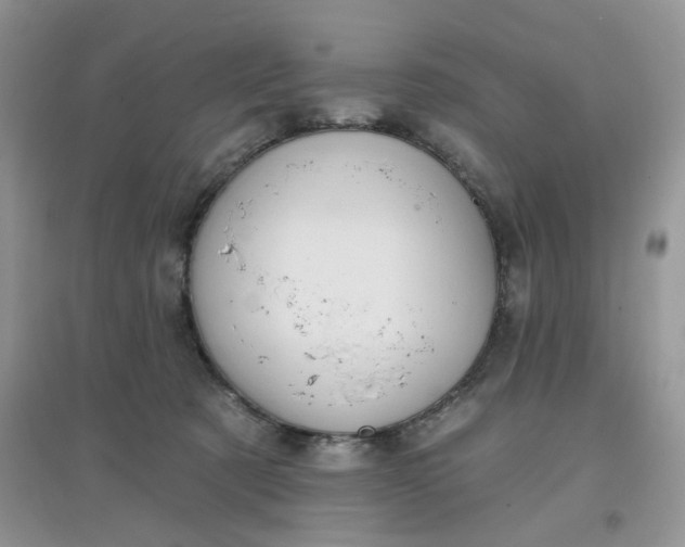 X0000097630321200803142030