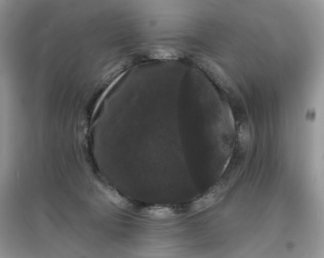 X0000097630322200803142030