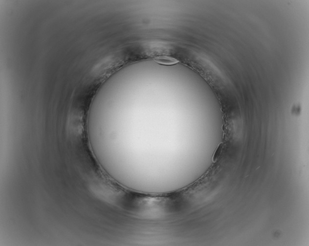 X0000097630323200803142030