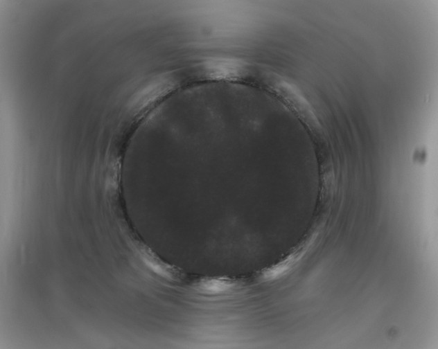 X0000097630325200803142030