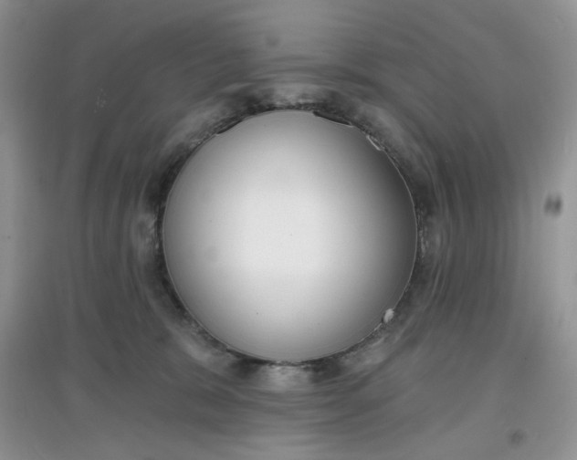 X0000097630327200803142030