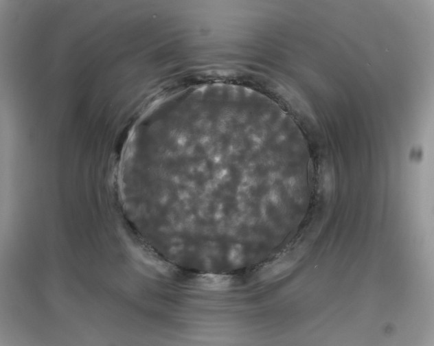 X0000097630328200803142030