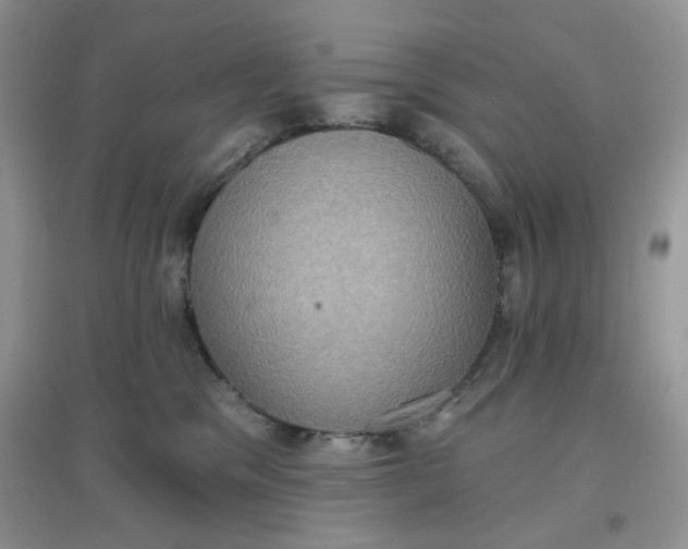 X0000097630329200803142030