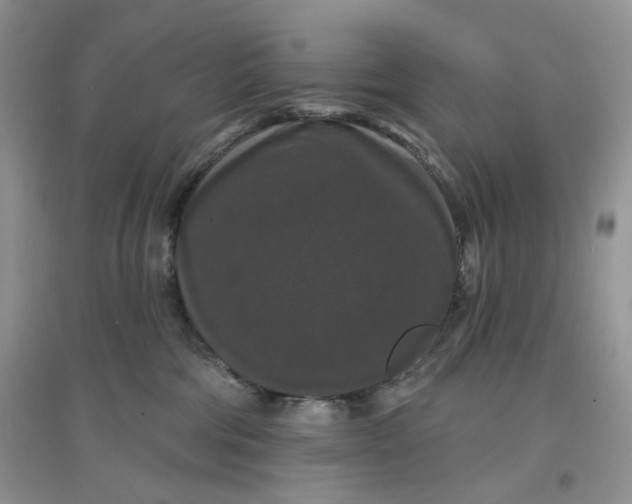 X0000097630330200803142030