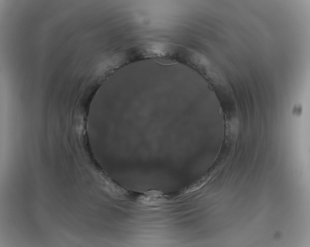 X0000097630331200803142030