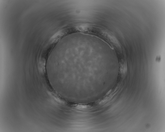 X0000097630332200803142030