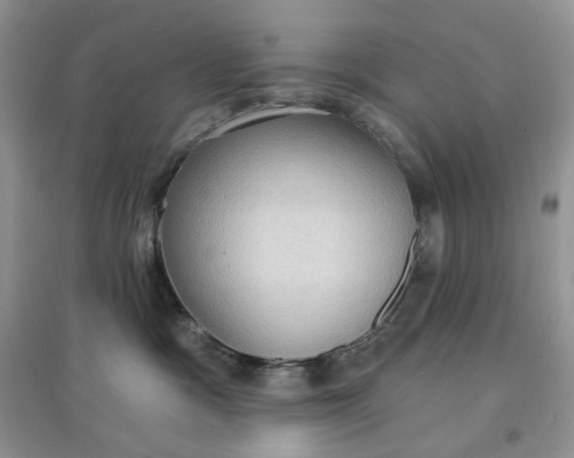 X0000097630333200803142030