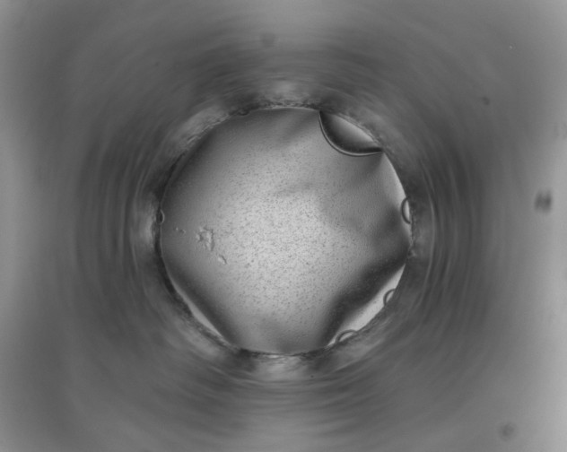 X0000097630334200803142030