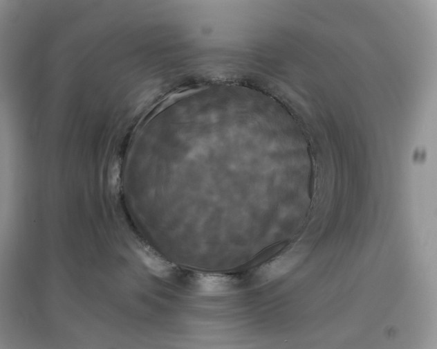 X0000097630336200803142030