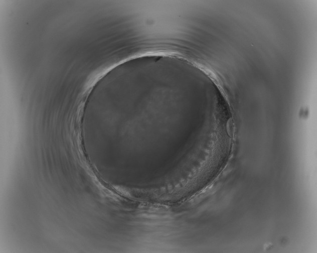 X0000097630337200803142029