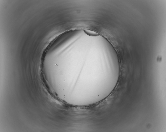 X0000097630338200803142029