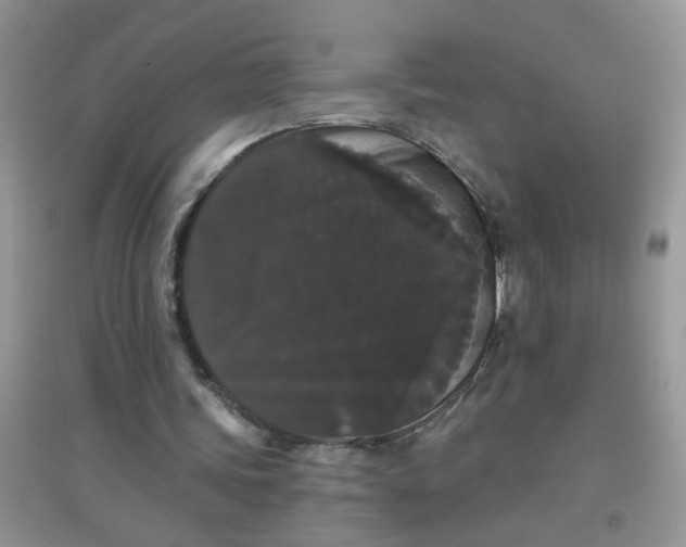 X0000097630339200803142029