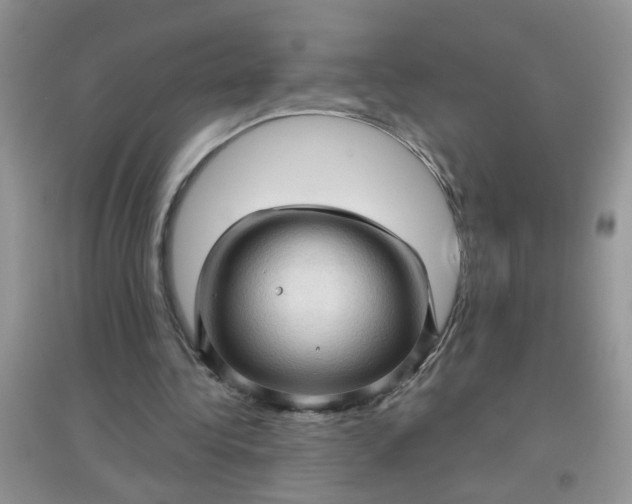 X0000097630340200803142029