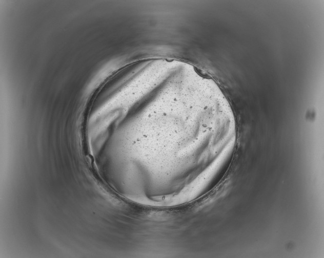 X0000097630341200803142029