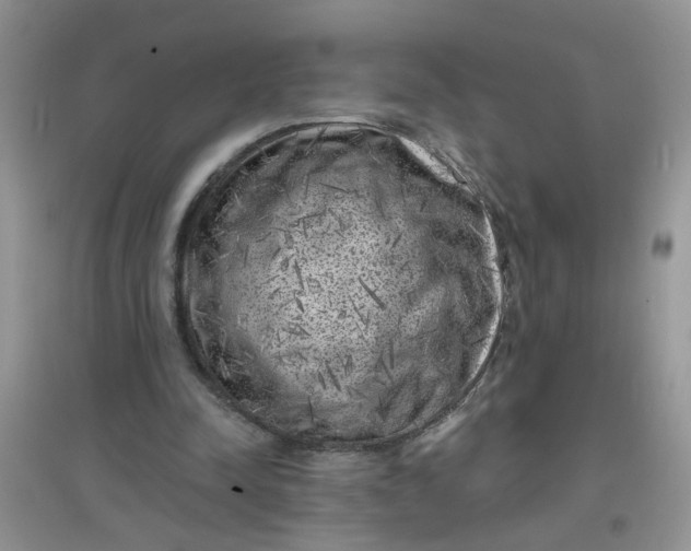 X0000097630342200803142029