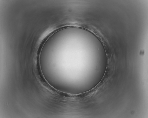 X0000097630344200803142029