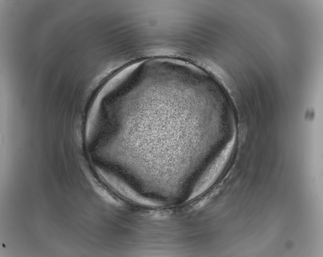 X0000097630345200803142029