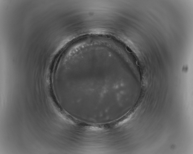 X0000097630347200803142029