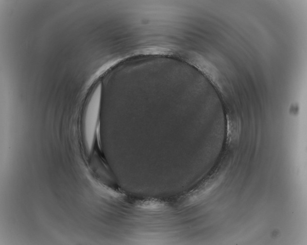 X0000097630348200803142029