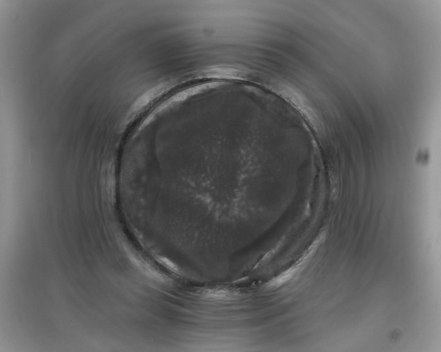 X0000097630349200803142029