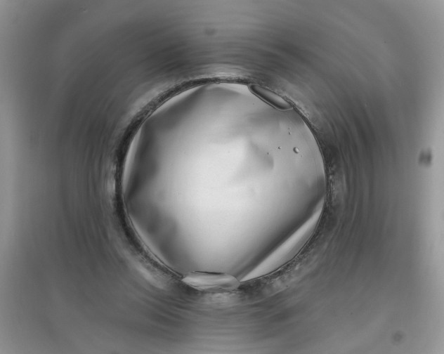 X0000097630350200803142029