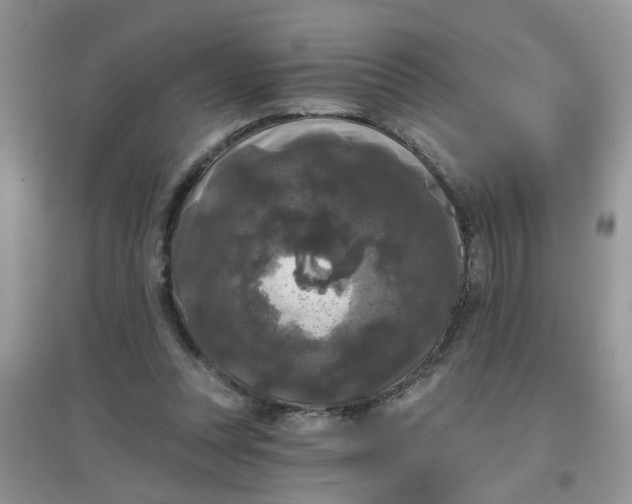 X0000097630351200803142029