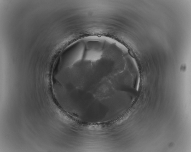 X0000097630353200803142029