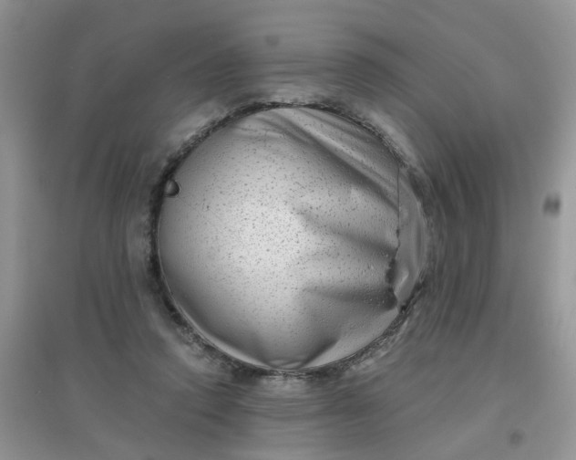 X0000097630354200803142029