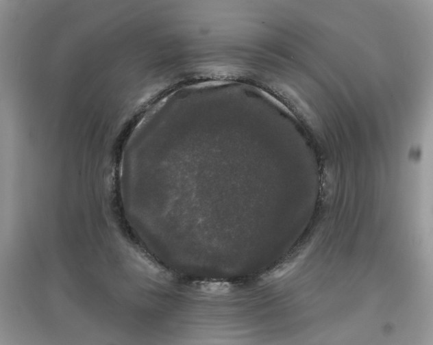 X0000097630355200803142029