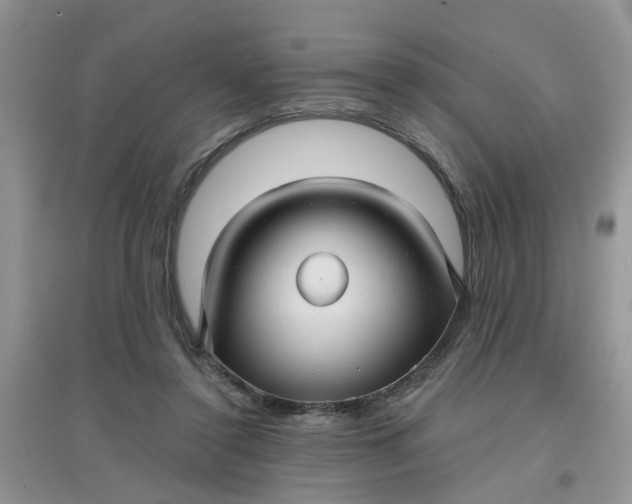 X0000097630356200803142029