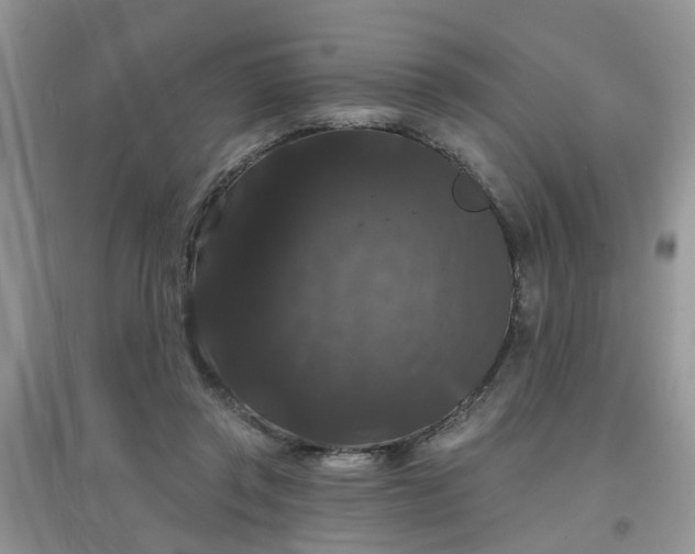 X0000097630357200803142029