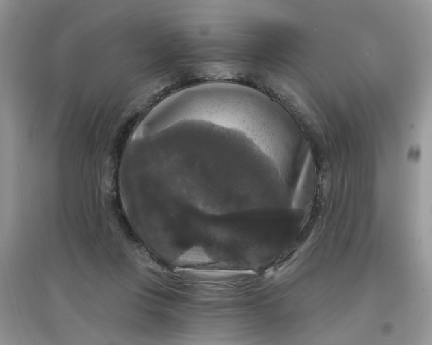 X0000097630359200803142029