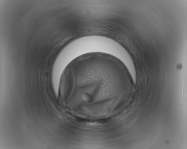 X0000097630360200803142029