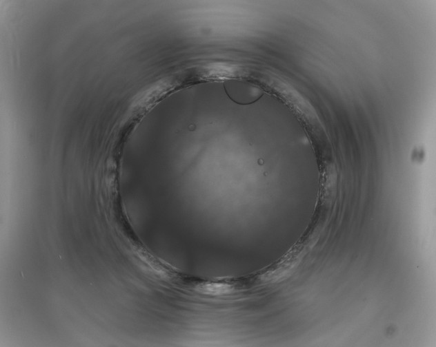 X0000097630361200803142029