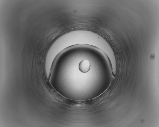 X0000097630364200803142029