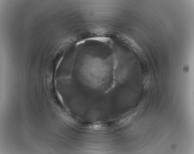 X0000097630365200803142029