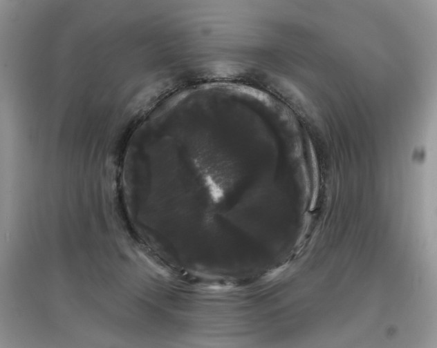 X0000097630366200803142029