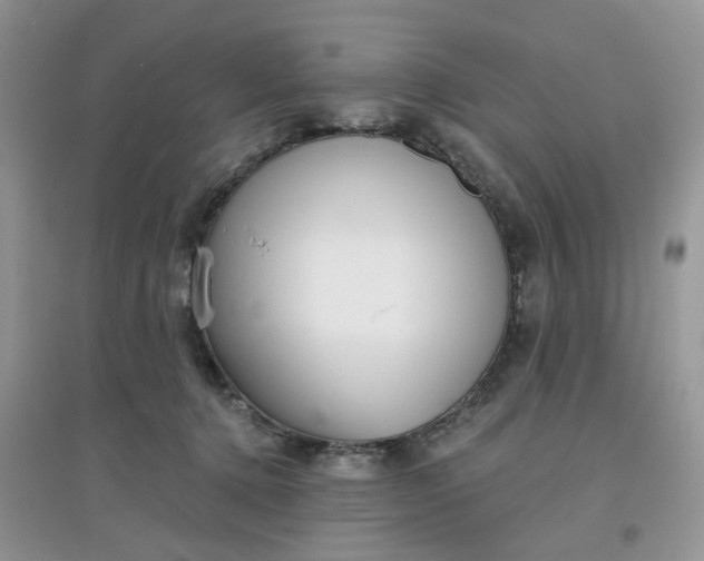 X0000097630368200803142029