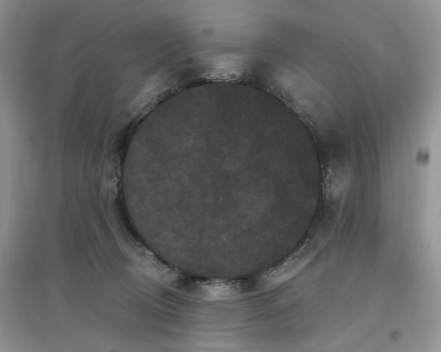 X0000097630370200803142029