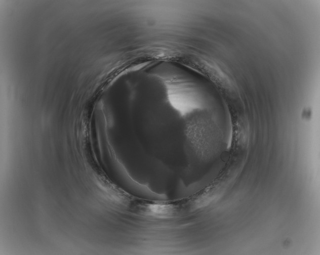 X0000097630371200803142029