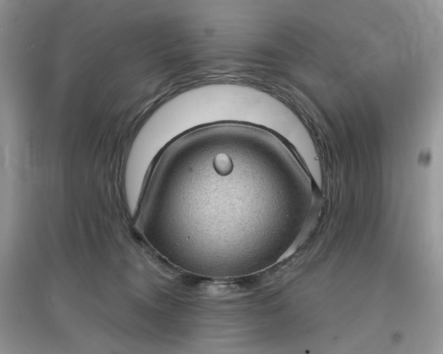 X0000097630372200803142029