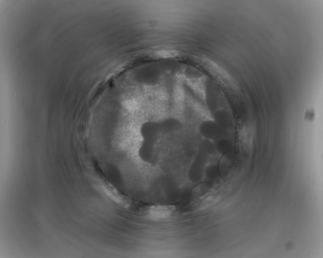 X0000097630373200803142029