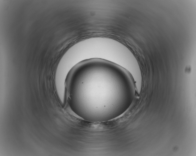 X0000097630376200803142029