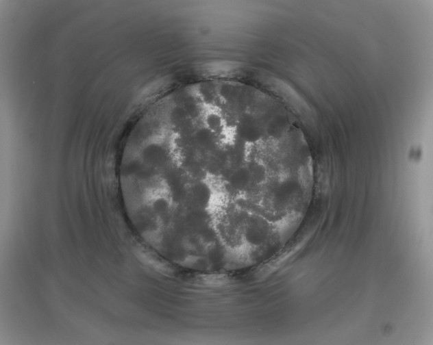 X0000097630377200803142029