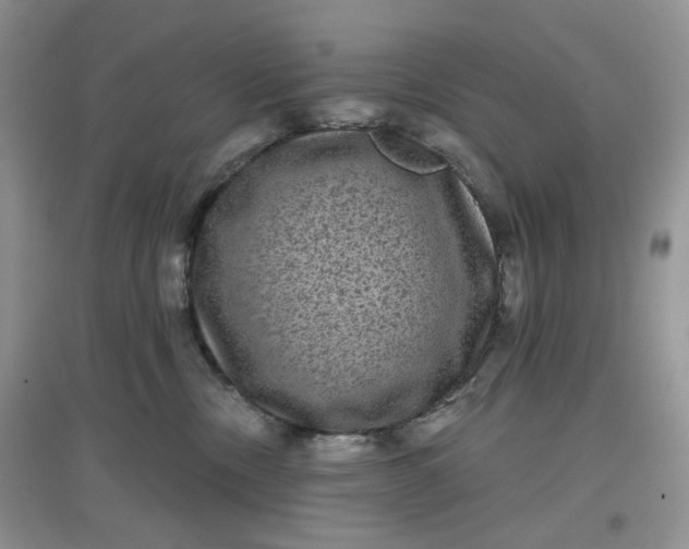 X0000097630378200803142029