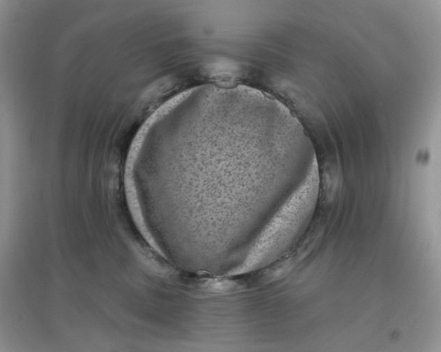 X0000097630379200803142030